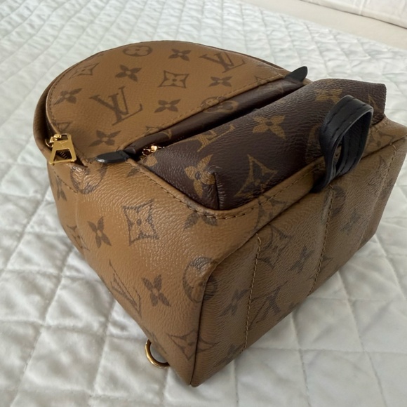 Louis Vuitton Palm Springs Mini Backpack main image 8